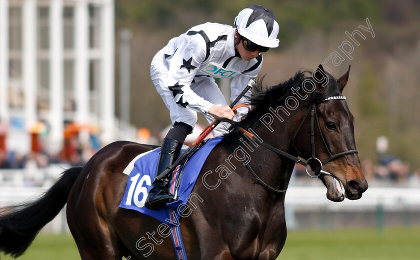 So-Hi-Cardi-0001 
 SO HI CARDI (Jason Watson)
Nottingham 10 Apr 2019 - Pic Steven Cargill / Racingfotos.com