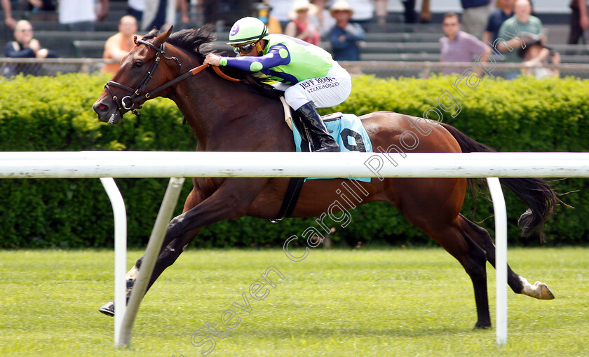 Valid-Point-0001 
 VALID POINT (Javier Castellano) wins Allowance
Belmont Park USA 7 Jun 2019 - Pic Steven Cargill / Racingfotos.com