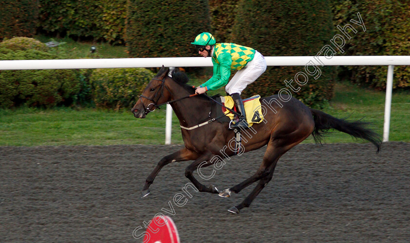 Jedhi-0005 
 JEDHI (Robert Havlin) wins The 100% Profit Boost At 32RedSport.com Fillies Handicap
Kempton 29 Aug 2018 - Pic Steven Cargill / Racingfotos.com