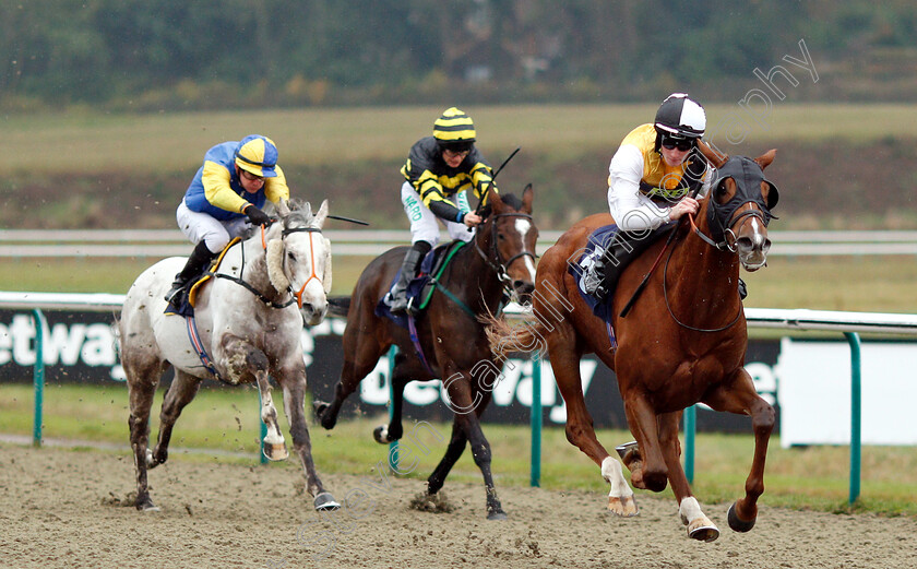 True-Destiny-0001 
 TRUE DESTINY (Adam McNamara) wins The Betway Stayers Handicap Div2
Lingfield 20 Nov 2018 - Pic Steven Cargill / Racingfotos.com