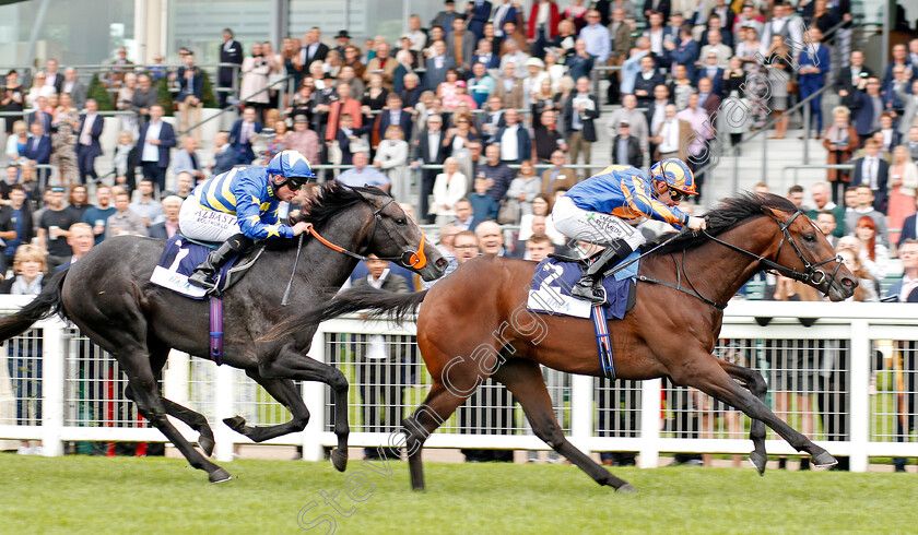 Cherokee-Trail-0003 
 CHEROKEE TRAIL (Kieran O'Neill) wins The Italian Tourist Board British EBF Novice Stakes
Ascot 7 Sep 2019 - Pic Steven Cargill / Racingfotos.com