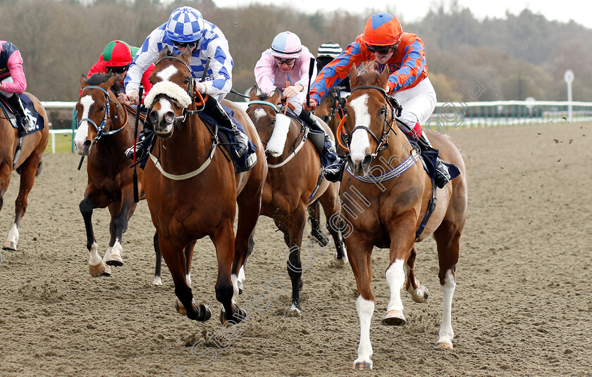 Hurricane-Alert-0002 
 HURRICANE ALERT (left, David Probert) beats PROMINNA (right) in The Betway Heed Your Hunch Handicap
Lingfield 2 Mar 2019 - Pic Steven Cargill / Racingfotos.com