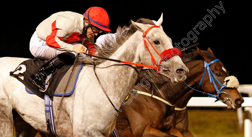 Tie-A-Yellowribbon-0006 
 TIE A YELLOWRIBBON (Ray Dawson) wins The chelmsfordcityracecourse.com Handicap Div1
Chelmsford 15 Oct 2020 - Pic Steven Cargill / Racingfotos.com