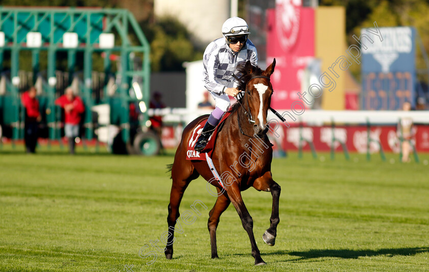 Lily-Hart-0001 
 LILY HART (Yutake Take)
Longchamp 5 Oct 2034 - Pic Steven Cargill / Racingfotos.com