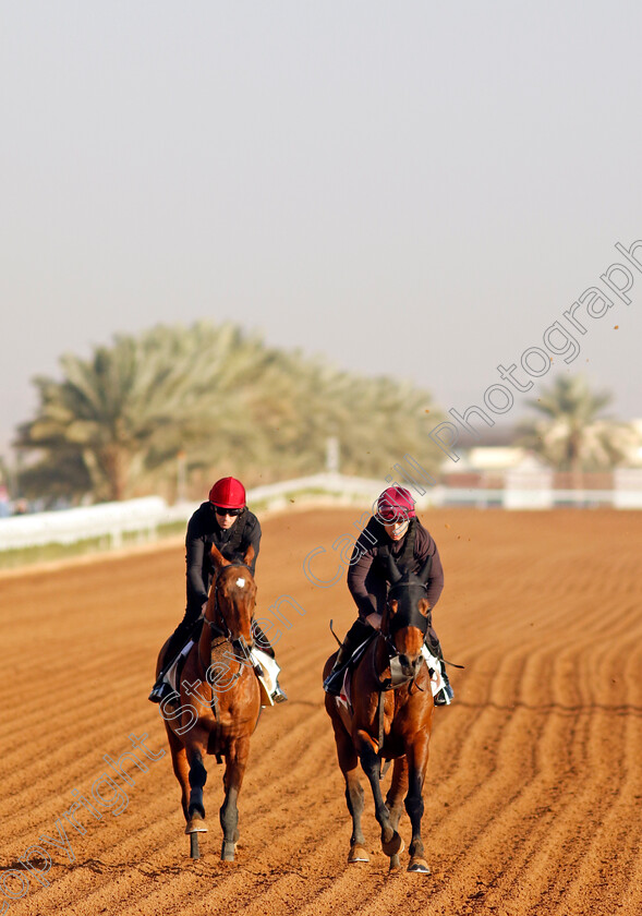 Luxembourg-and-Tower-Of-London-0002 
 LUXEMBOURG (left) with TOWER OF LONDON (right) training at The Saudi Cup
King Abdulaziz Racecourse, Saudi Arabia 21 Feb 2024 - Pic Steven Cargill / Racingfotos.com