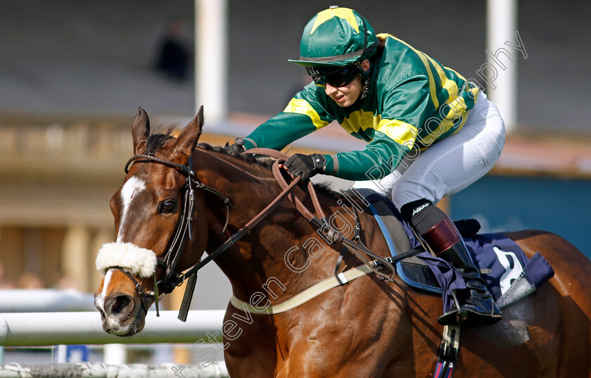 Bucephalus-0001 
 BUCEPHALUS (Rose Dawes) wins The Injured Jockeys Fund Handicap
Doncaster 2 Apr 2023 - Pic Steven Cargill / Racingfotos.com