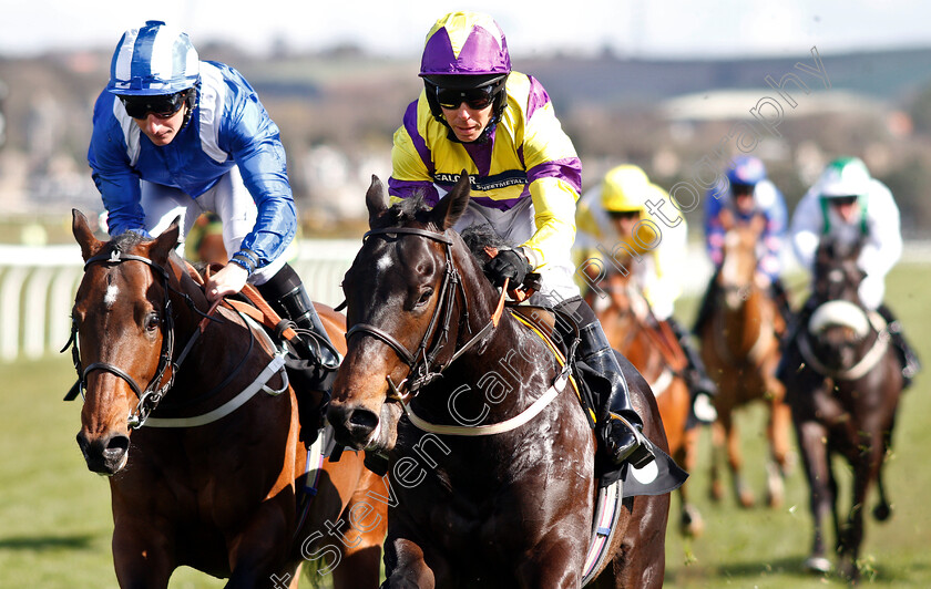 Proper-Beau-0007 
 PROPER BEAU (right, Graham Lee) beats ALMINOOR (left) in The Watch Racing TV Now Novice Stakes
Musselburgh 2 Apr 2019 - Pic Steven Cargill / Racingfotos.com