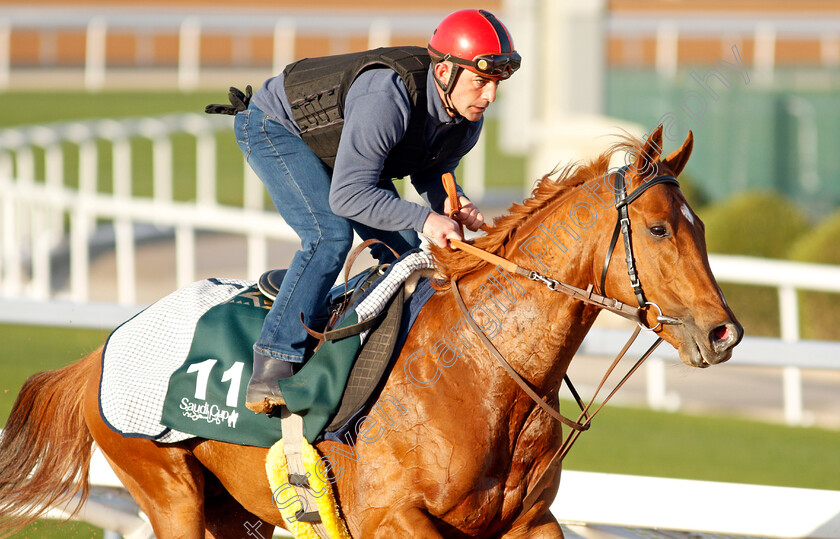 Sealiway-0005 
 SEALIWAY training for The Saudi Cup
King Abdulaziz Racetrack, Riyadh, Saudi Arabia 22 Feb 2022 - Pic Steven Cargill / Racingfotos.com