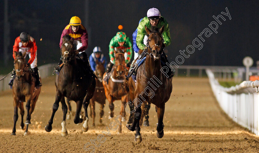 Uncle-Bryn-0006 
 UNCLE BRYN (Robert Havlin) wins The Ladbrokes Watch Racing Online For Free EBF Novice Stakes
Wolverhampton 24 Nov 2020 - Pic Steven Cargill / Racingfotos.com