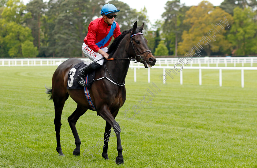 Queenlet-0002 
 QUEENLET (Tom Marquand)
Ascot 27 Apr 2022 - Pic Steven Cargill / Racingfotos.com