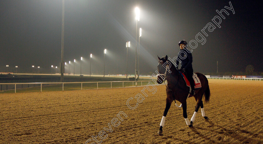 Life-Is-Good-0006 
 LIFE IS GOOD training for the Dubai World Cup
Meydan, Dubai, 22 Mar 2022 - Pic Steven Cargill / Racingfotos.com