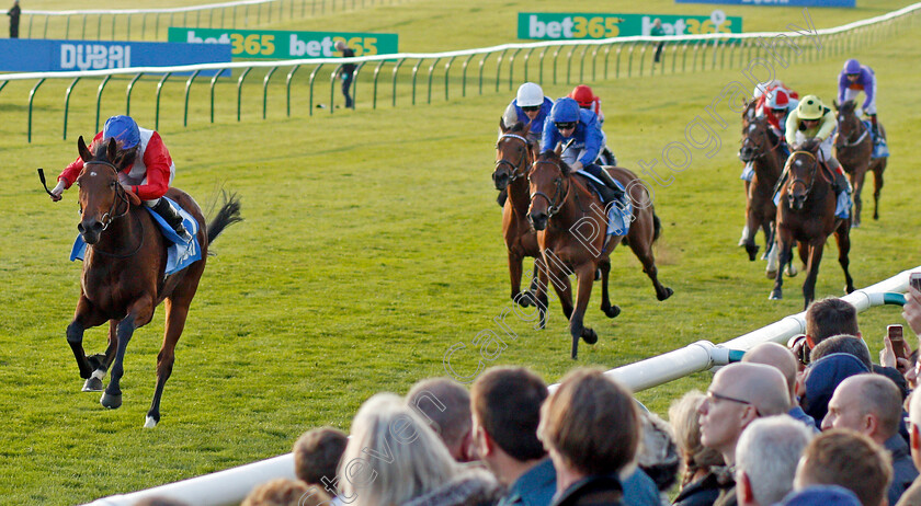 Veracious-0003 
 VERACIOUS (Ryan Moore) wins The Godolphin Under Starters Orders Maiden Fillies Stakes Newmarket 13 Oct 2017 - Pic Steven Cargill / Racingfotos.com