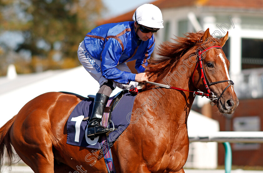 Bajan-Gold-0002 
 BAJAN GOLD (Adam Beschizza) Lingfield 5 Oct 2017 - Pic Steven Cargill / Racingfotos.com