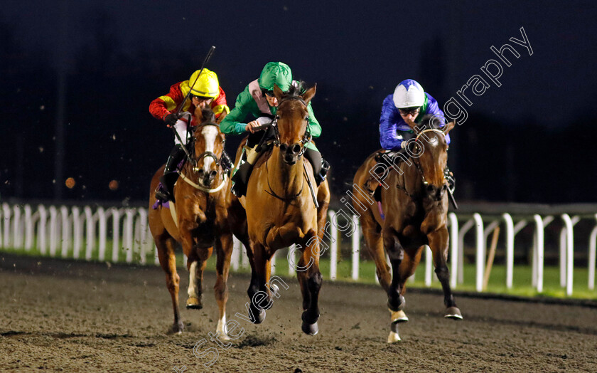 Nanny-Park-0002 
 NANNY PARK (Daniel Muscutt) wins The Racing TV Fillies Restricted Novice Stakes
Kempton 11 Dec 2024 - Pic Steven Cargill / Racingfotos.com