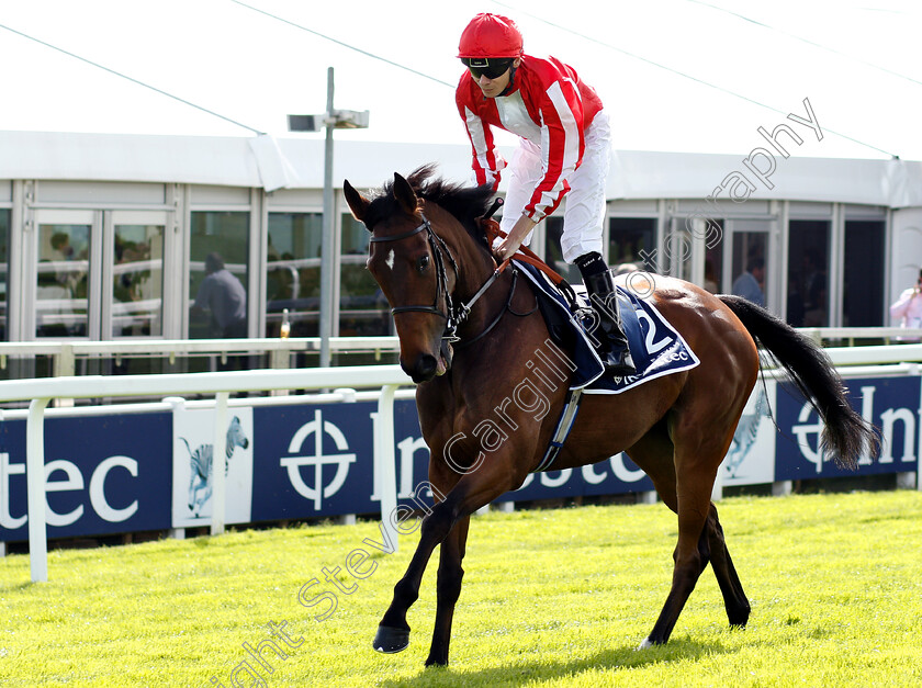 Ejtyah-0001 
 EJTYAH (Jamie Spencer)
Epsom 1 Jun 2018 - Pic Steven Cargill / Racingfotos.com