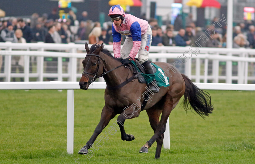 Country-Mile-0004 
 COUNTRY MILE (Harry Skelton) wins The British EBF National Hunt Novices Hurdle
Cheltenham 13 Dec 2024 - Pic Steven Cargill / Racingfotos.com