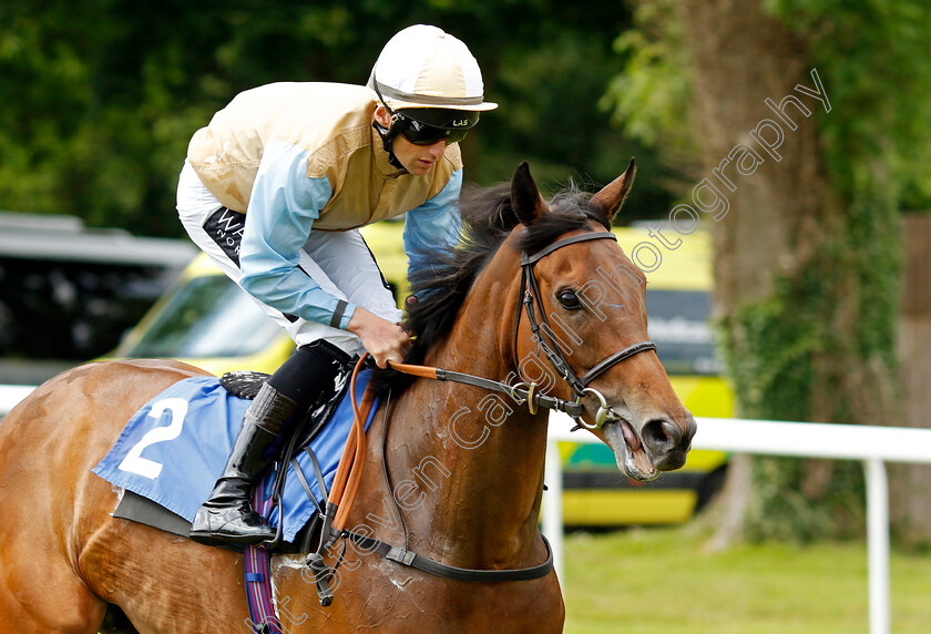 Twilight-Dancer-0001 
 TWILIGHT DANCER (Trevor Whelan)
Salisbury 16 Jun 2024 - Pic Steven Cargill / Racingfotos.com