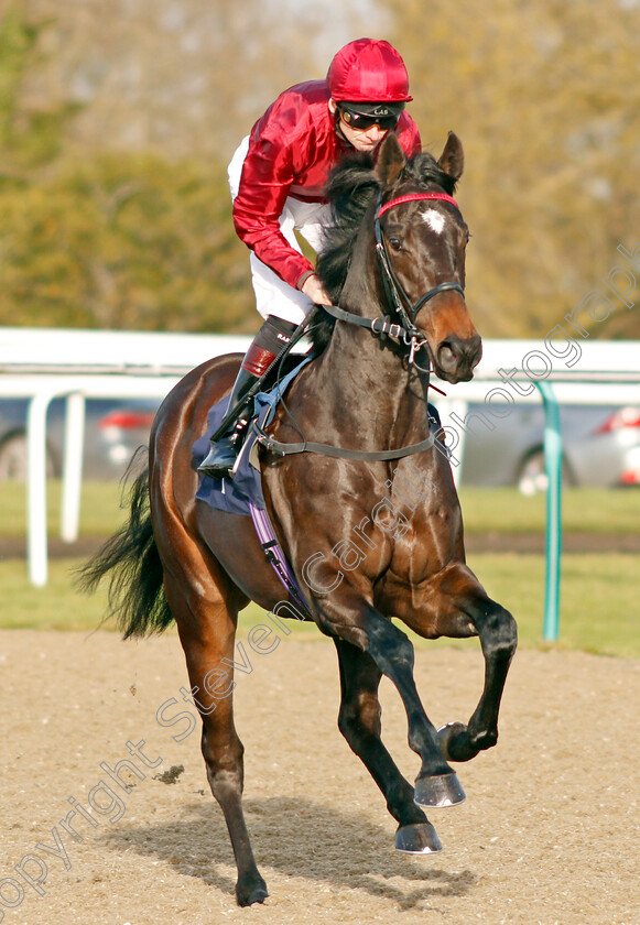 Disco-Fever-0001 
 DISCO FEVER (Robert Havlin) winner of The Ladbrokes EBF Fillies Novice Stakes
Lingfield 18 Dec 2019 - Pic Steven Cargill / Racingfotos.com