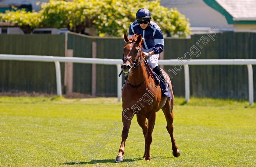 Cotai-Hero-0002 
 COTAI HERO (Tom Marquand)
Yarmouth 9 Jun 2021 - Pic Steven Cargill / Racingfotos.com