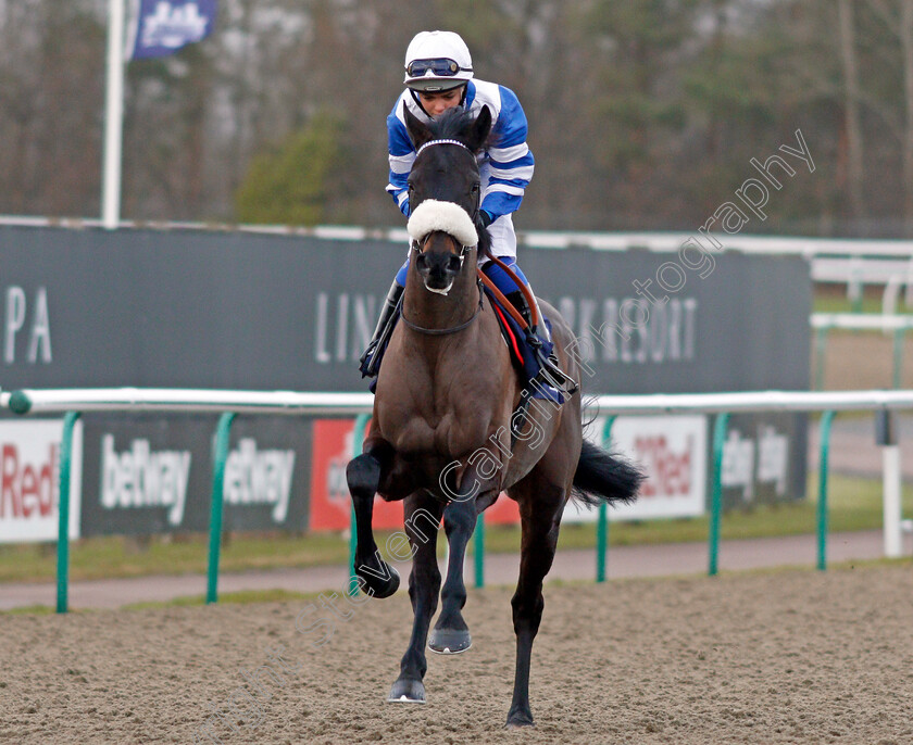 Zubayr-0001 
 ZUBAYR (Megan Nicholls) Lingfield 30 Dec 2017 - Pic Steven Cargill / Racingfotos.com