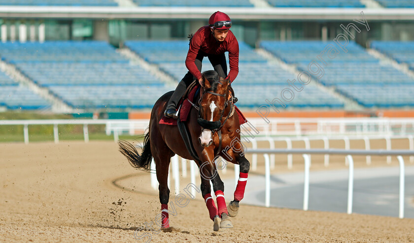 Laurel-River-0005 
 LAUREL RIVER training for the Dubai Racing Carnival 
Meydan 23 Jan 2025 - Pic Steven Cargill / Racingfotos.com