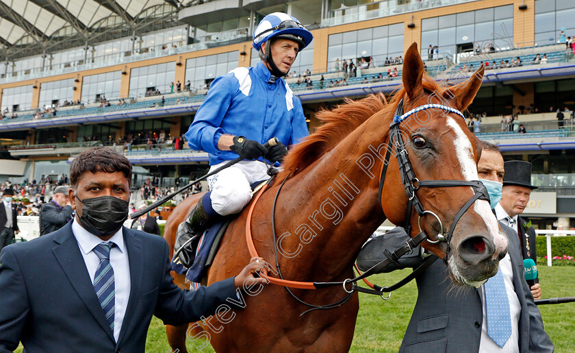 Mohaafeth-0012 
 MOHAAFETH (Jim Crowley) winner of The Hampton Court Stakes
Royal Ascot 17 Jun 2021 - Pic Steven Cargill / Racingfotos.com