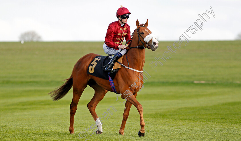 Fortune s-Pearl-0001 
 FORTUNE'S PEARL (Oisin Murphy) Newmarket 17 Apr 2018 - Pic Steven Cargill / Racingfotos.com