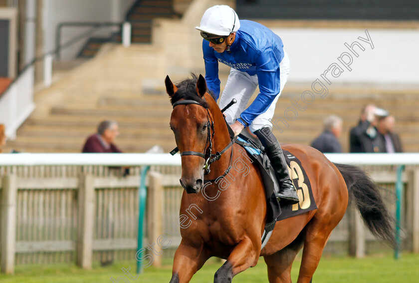 Marching-Thunder-0001 
 MARCHING THUNDER (James Doyle)
Newmarket 28 Sep 2023 - Pic Steven Cargill / Racingfotos.com