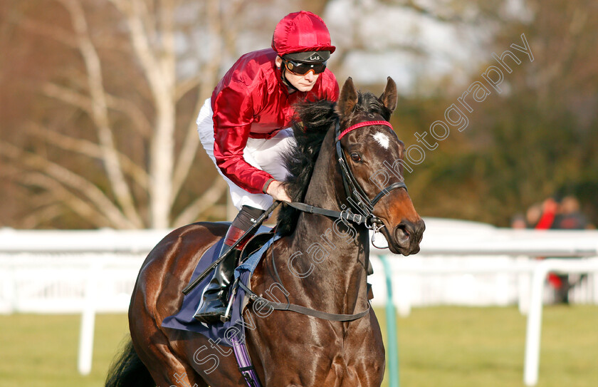 Disco-Fever-0002 
 DISCO FEVER (Robert Havlin) winner of The Ladbrokes EBF Fillies Novice Stakes
Lingfield 18 Dec 2019 - Pic Steven Cargill / Racingfotos.com