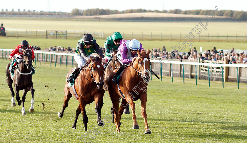 Rock-Eagle-0001 
 ROCK EAGLE (right, Harry Bentley) beats ASTRONOMER (left) in The bet365 Old Rowley Cup Handicap
Newmarket 12 Oct 2018 - Pic Steven Cargill / Racingfotos.com