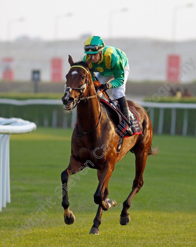 Penja-0001 
 PENJA (Cristian Demuro)
Sakhir Racecourse, Bahrain 19 Nov 2021 - Pic Steven Cargill / Racingfotos.com