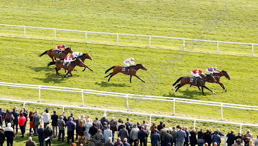 Chatez-0004 
 CHATEZ (farside, William Buick) beats INDEED (nearside) in The Mansionbet Spring Cup Handicap
Newbury 13 Apr 2019 - Pic Steven Cargill / Racingfotos.com