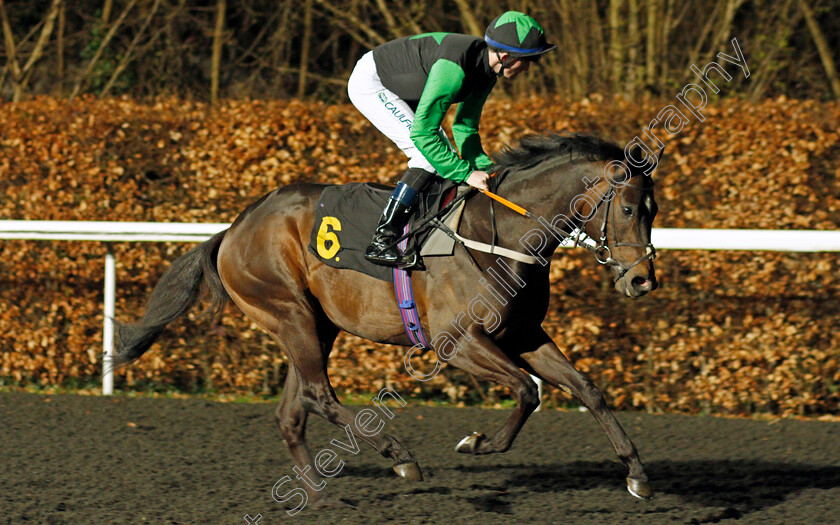 Swatch 
 SWATCH (Darragh Keenan)
Kempton 2 Mar 2022 - Pic Steven Cargill / Racingfotos.com