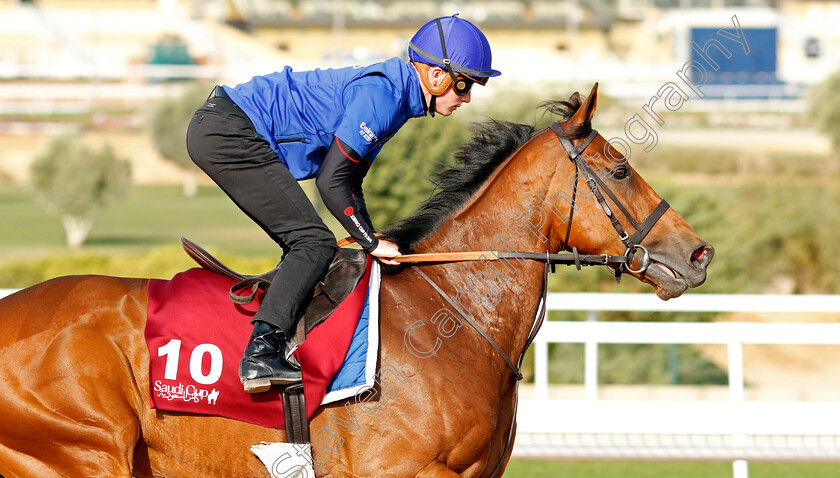 Siskany-0001 
 SISKANY training for The Turf Handicap
King Abdulaziz Racetrack, Riyadh, Saudi Arabia 24 Feb 2022 - Pic Steven Cargill / Racingfotos.com