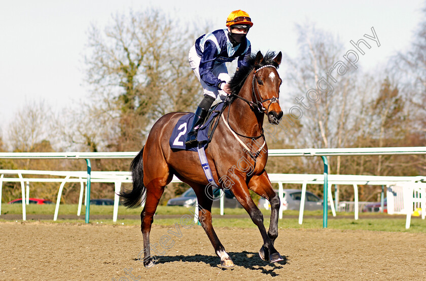 Percy-Willis-0001 
 PERCY WILLIS (Charles Bishop)
Lingfield 26 Feb 2021 - Pic Steven Cargill / Racingfotos.com