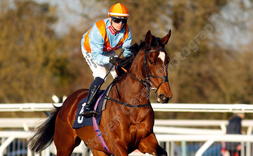 At-A-Pinch-0002 
 AT A PINCH (Theodore Ladd)
Lingfield 21 Jan 2023 - Pic Steven Cargill / Racingfotos.com