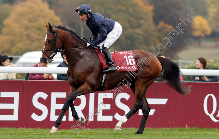 Hunting-Horn-0001 
 HUNTING HORN (Seamie Heffernan)
Longchamp 7 Oct 2018 - Pic Steven Cargill / Racingfotos.com