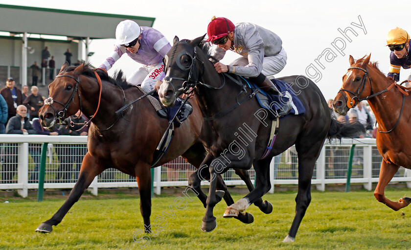 Mazyoun-0005 
 MAZYOUN (centre, James Doyle) beats HUGIN (left) in The iNTU Chapelfield Shopping Centre Norwich Handicap Yarmouth 21 Sep 2017 - Pic Steven Cargill / Racingfotos.com