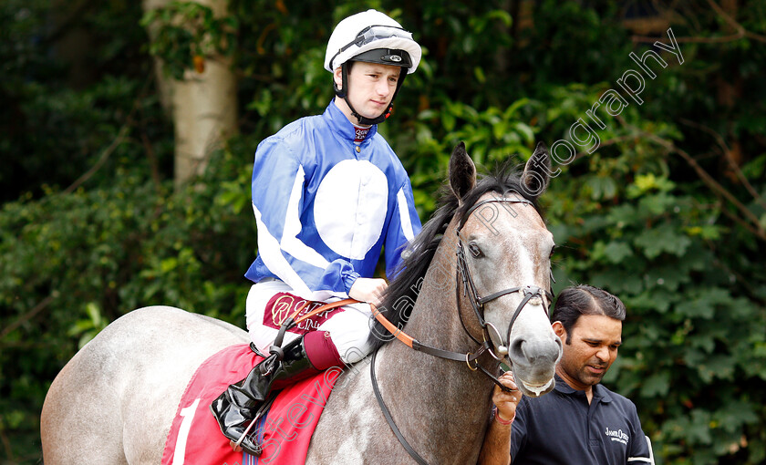 Wentworth-Amigo-0001 
 WENTWORTH AMIGO (Oisin Murphy) before winning The British Stallion Studs EBF Novice Stakes 
Sandown 14 Jun 2019 - Pic Steven Cargill / Racingfotos.com