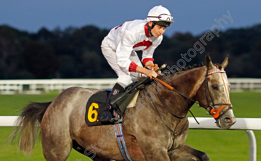 Baraq-0001 
 BARAQ (Luke Morris)
Kempton 28 Aug 2024 - Pic Steven Cargill / Racingfotos.com