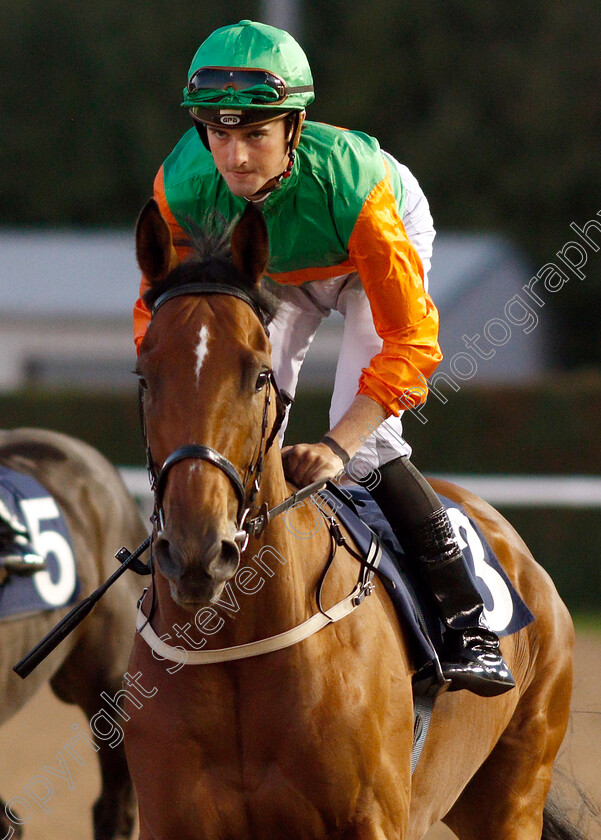 Acclafrith-0001 
 ACCLAFRITH (Marc Monaghan)
Wolverhampton 5 Sep 2018 - Pic Steven Cargill / Racingfotos.com