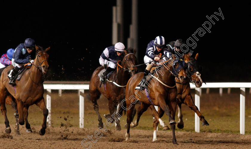 Thai-Terrier-0001 
 THAI TERRIER (Richard Kingscote) wins The chelmsfordcityracecourse Handicap
Chelmsford 22 Jan 2021 - Pic Steven Cargill / Racingfotos.com