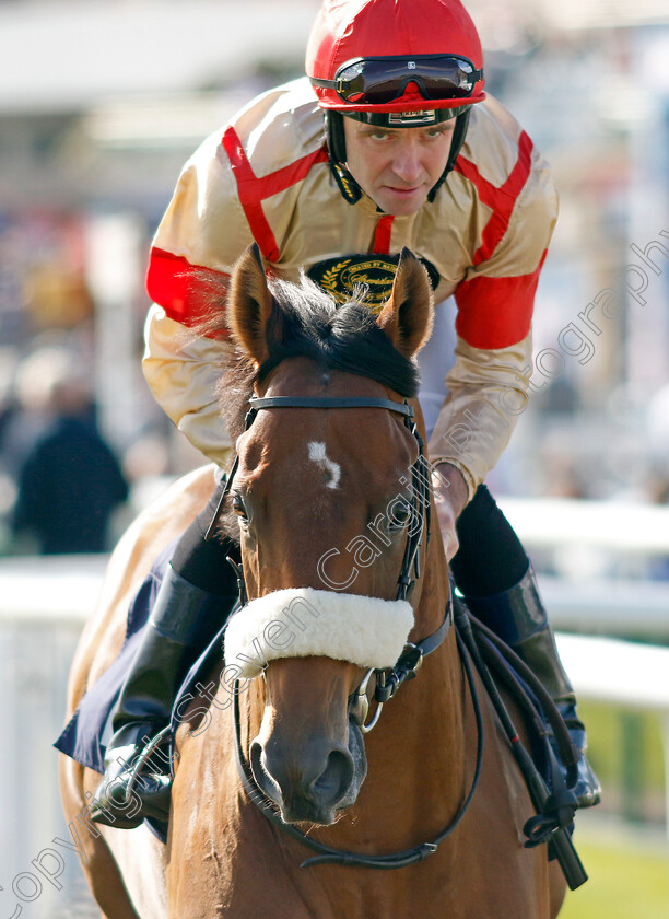 Ain t-Nobody-0001 
 AIN'T NOBODY (Tom Eaves)
Doncaster 13 Sep 2024 - Pic Steven Cargill / Racingfotos.com