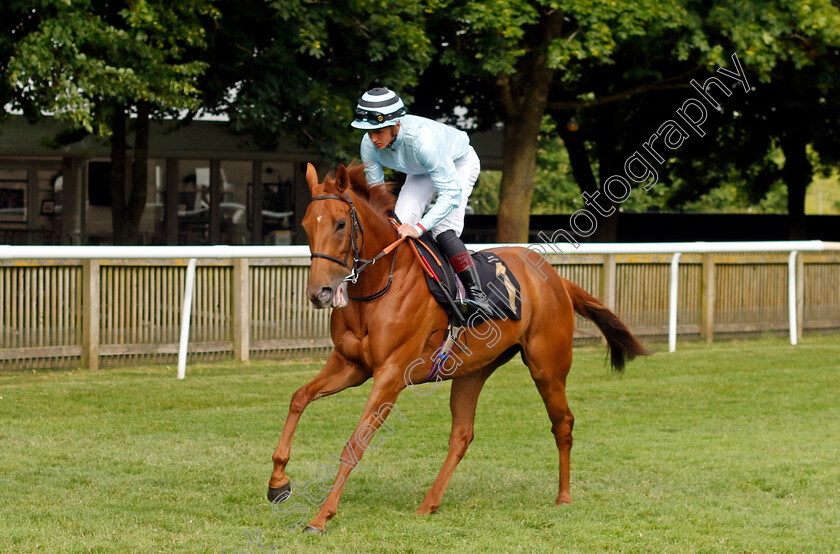 Pink-Lily-0001 
 PINK LILY (Alec Voikhansky)
Newmarket 28 Jun 2024 - Pic Steven Cargill / Racingfotos.com