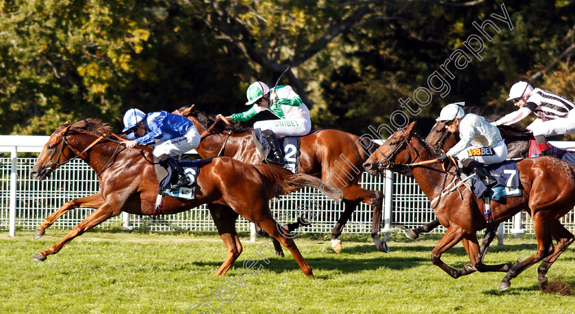 Gabr-0006 
 GABR (Jim Crowley) beats PLUTONIAN (centre) and THREADING (right) in The British Stallion Studs EBF Foundation Stakes
Goodwood 26 Sep 2018 - Pic Steven Cargill / Racingfotos.com