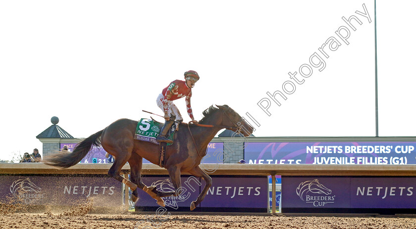 Wonder-Wheel-0003 
 WONDER WHEEL (Tyler Gaffalione) wins The Breeders' Cup Juvenile Fillies
Breeders Cup Meeting, Keeneland USA, 4 Nov 2022 - Pic Steven Cargill / Racingfotos.com