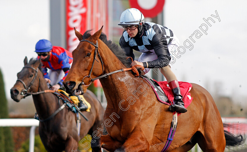 Biggles-0008 
 BIGGLES (Robbie Downey) wins The Ladbrokes Committed To Safer Gambling Novice Stakes
Kempton 27 Mar 2021 - Pic Steven Cargill / Racingfotos.com