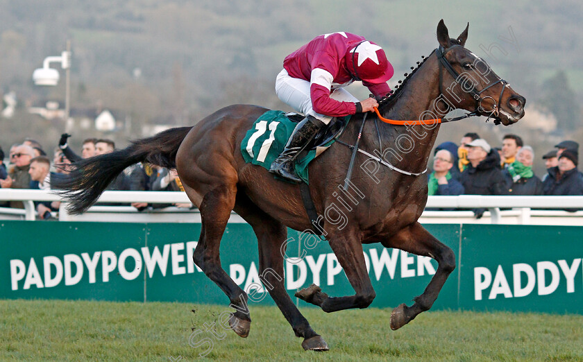 Milan-Native-0003 
 MILAN NATIVE (Robert James) wins The Fulke Walwyn Kim Muir Challenge Cup
Cheltenham 12 Mar 2020 - Pic Steven Cargill / Racingfotos.com