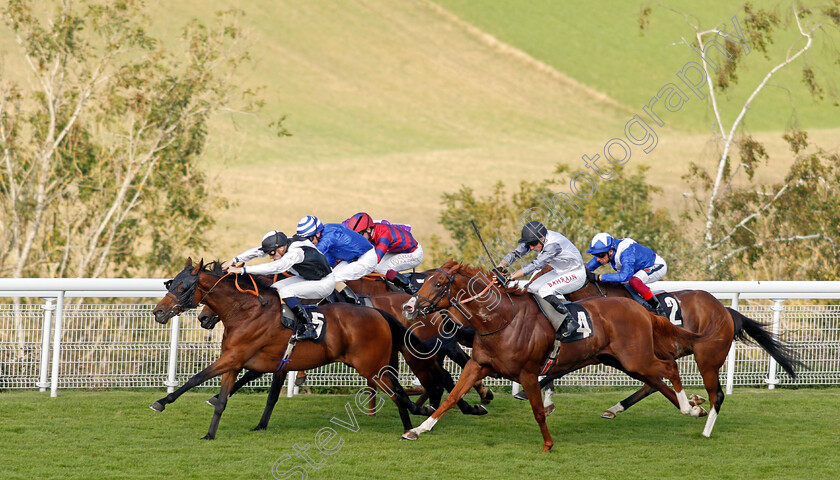 Victory-Chime-0005 
 VICTORY CHIME (Hector Crouch) beats TYSON FURY (right) in The Best of British Events Foundation Stakes
Goodwood 22 Sep 2021 - Pic Steven Cargill / Racingfotos.com