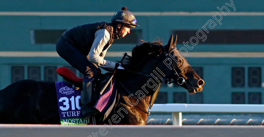 Mostahdaf-0005 
 MOSTAHDAF training for The Breeders' Cup Turf
Santa Anita USA, 31 October 2023 - Pic Steven Cargill / Racingfotos.com